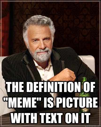 meme definition examples